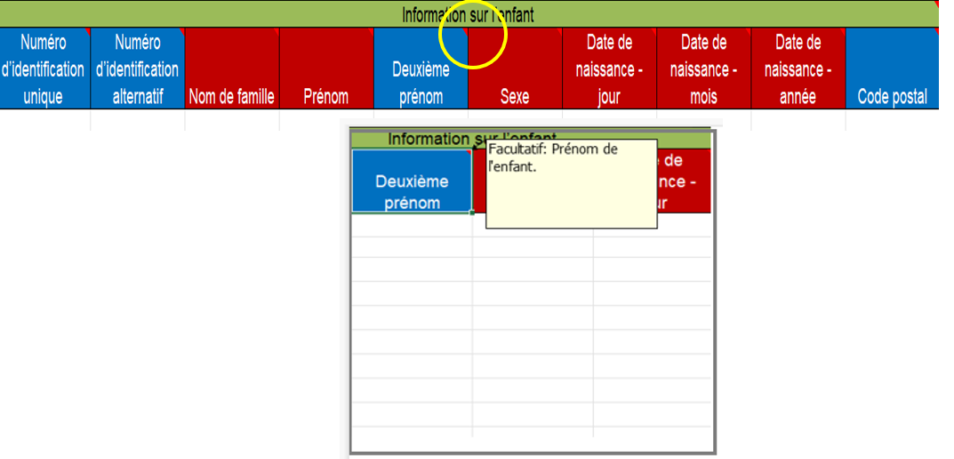 french_excel_comment.png